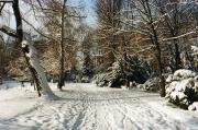 winter.jpg