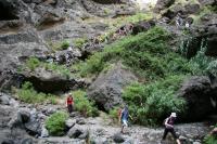 Masca_Schlucht__14_.JPG