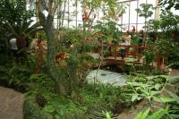 Schmetterlingspark__23_.JPG