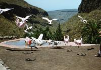 g_palmitos_park_7.jpg