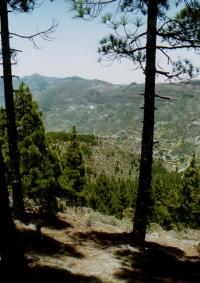 i_um_den_roque_nublo_1.jpg