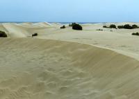 l_duenen_maspalomas_2.jpg