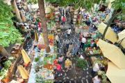 Funchal_Markthalle__1_.JPEG